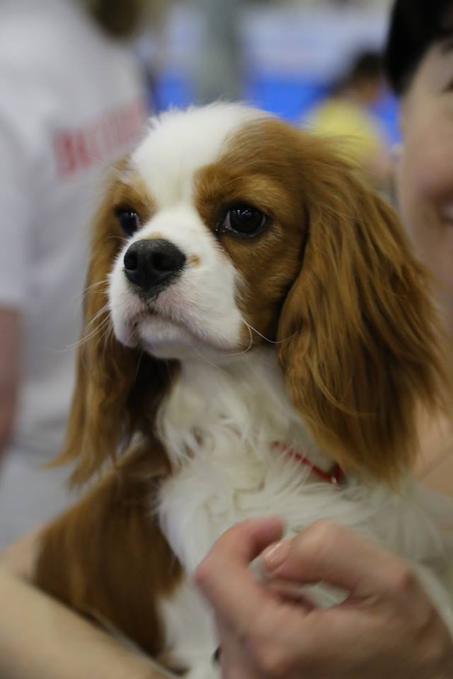 Мэри Джейн РС.jpg