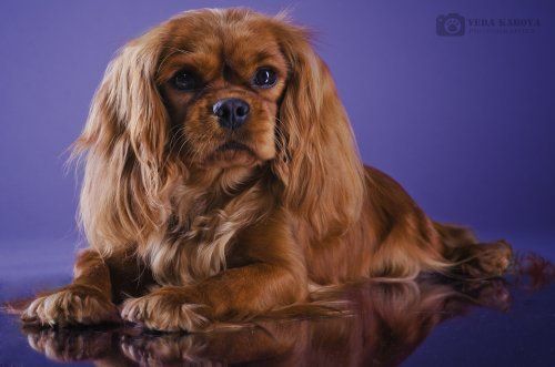 маня уменьш.jpg