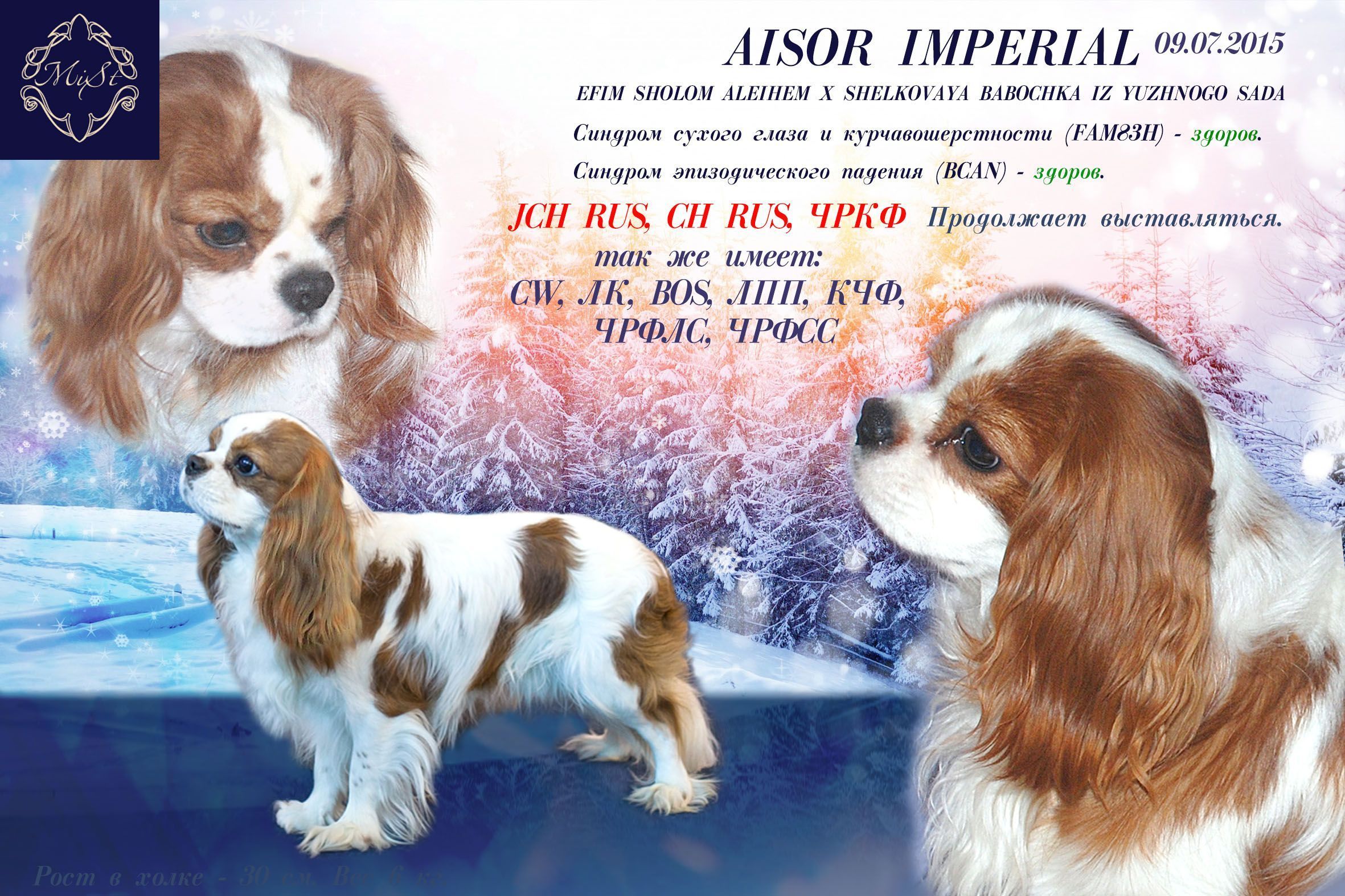 Марви презентация5.jpg