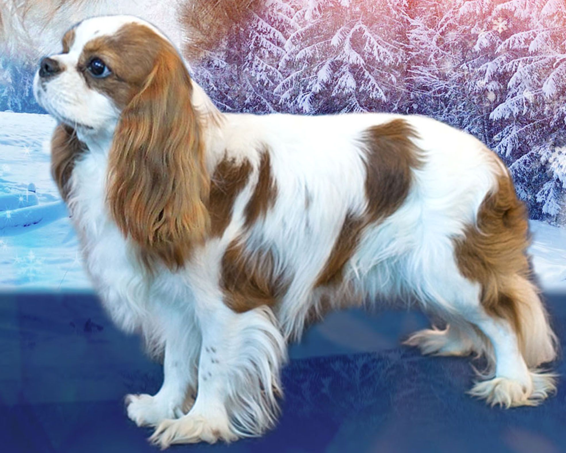 Марви презентация5-.jpg