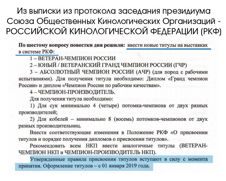 новые титулы.jpg