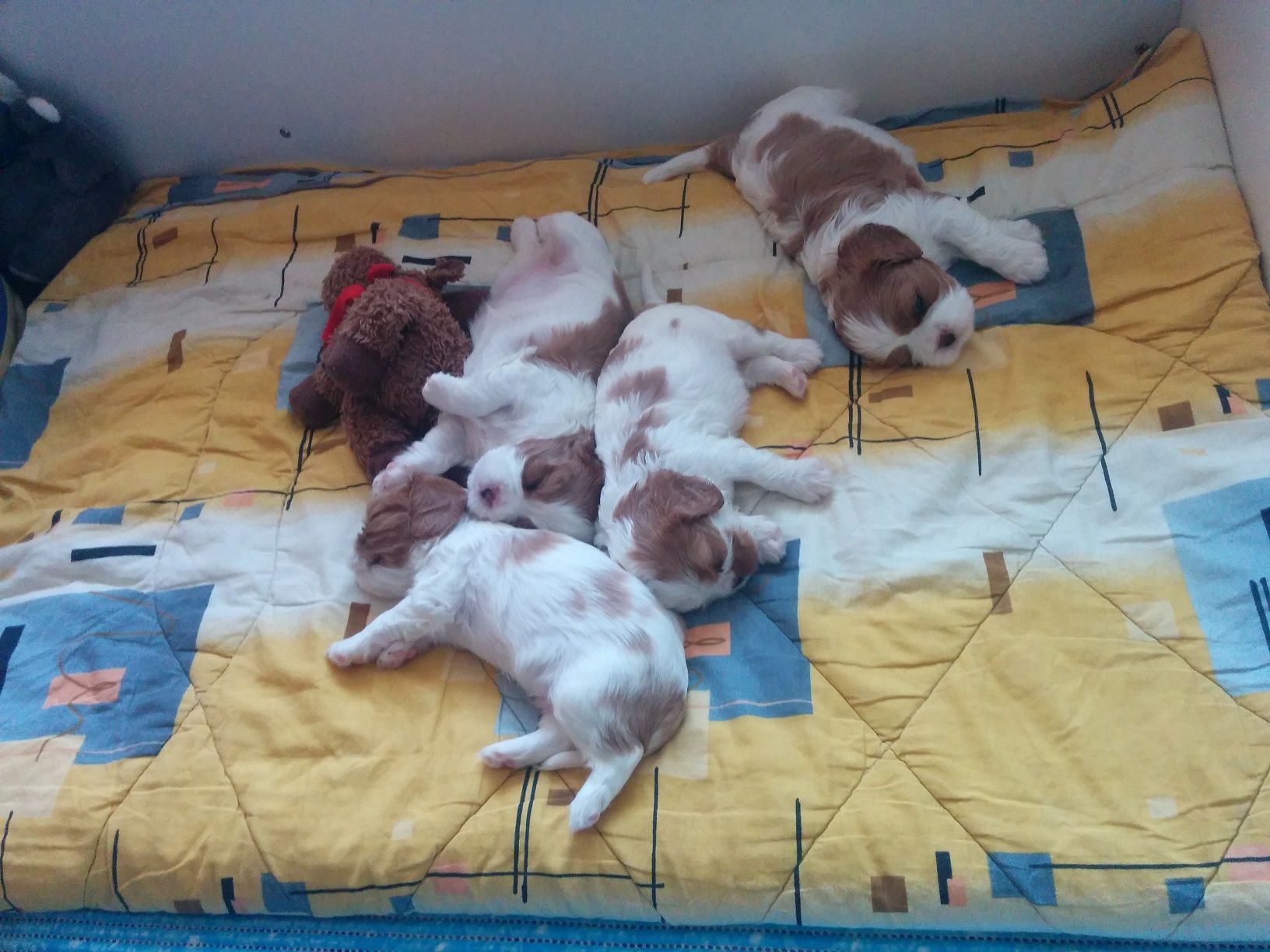 нянька два.jpg