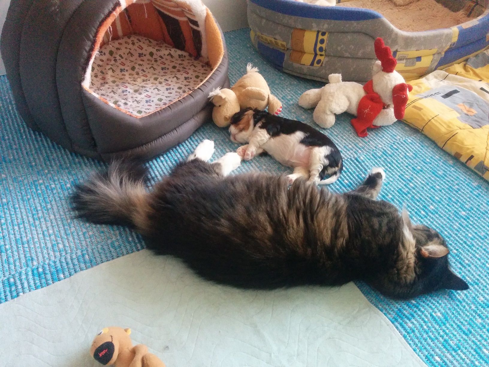 нянька три.jpg