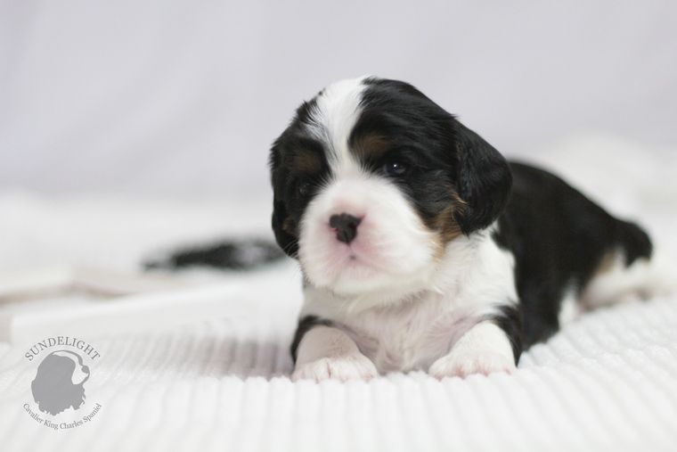 попа — копия.JPG