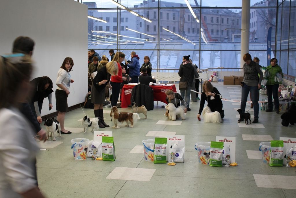 рэй бест1.JPG