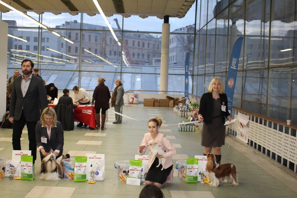 рэй бест2.JPG