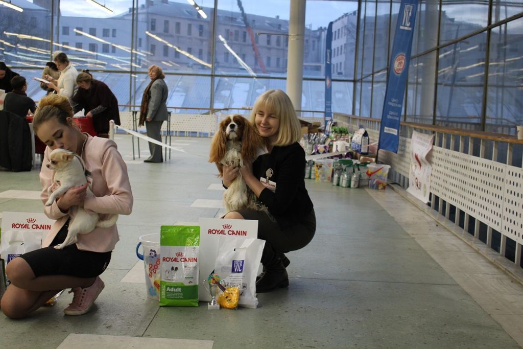 рэй бест3.JPG