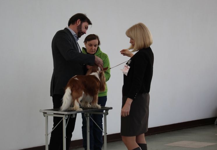 рэй монка.JPG