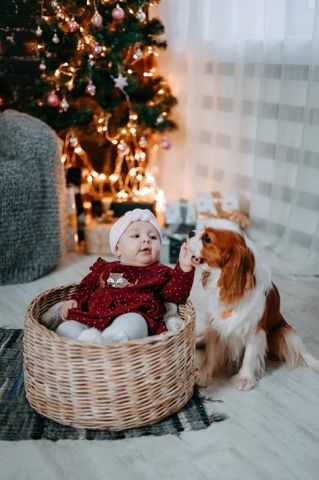 Рафаэль 4.jpg