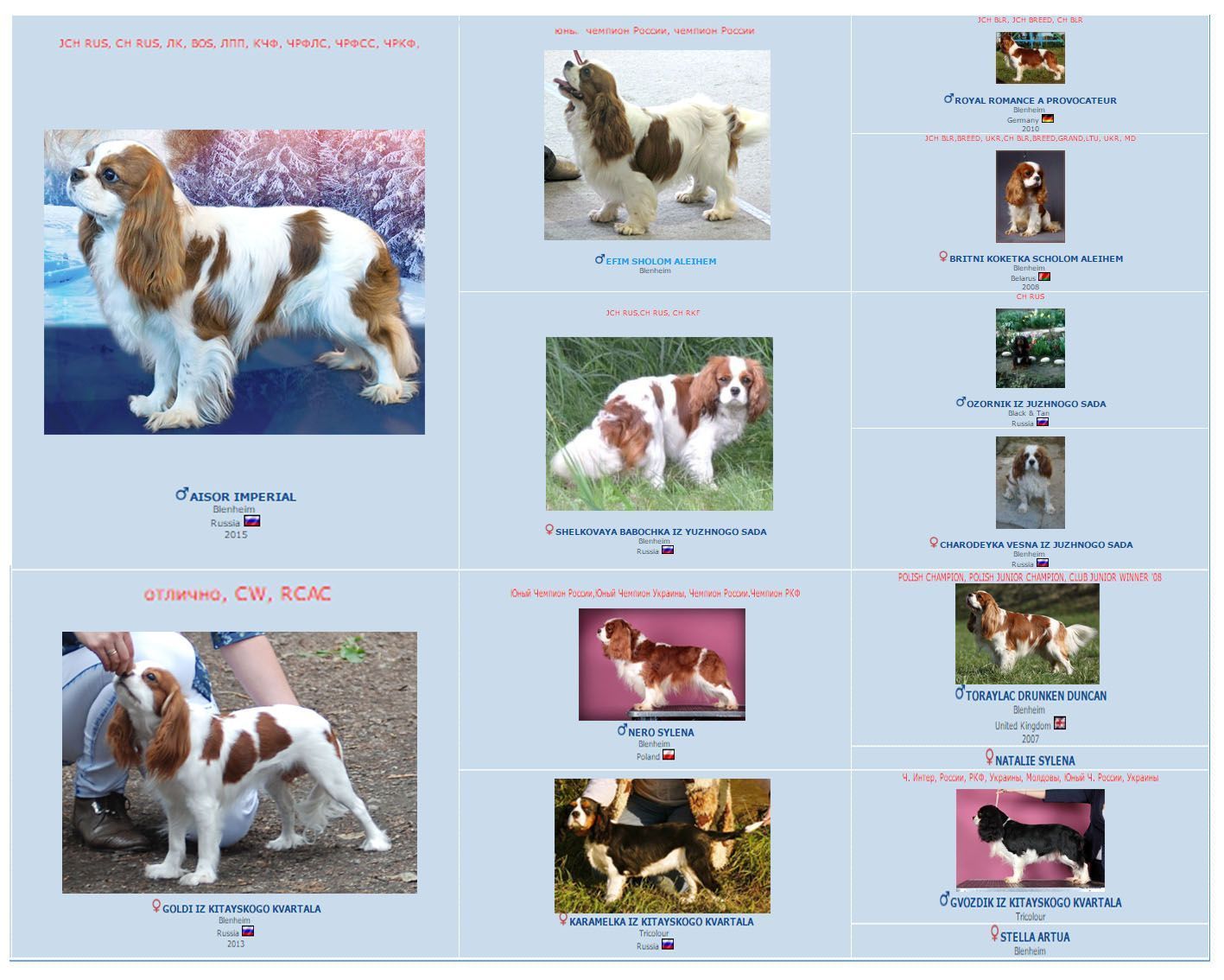 родословная щенков.jpg