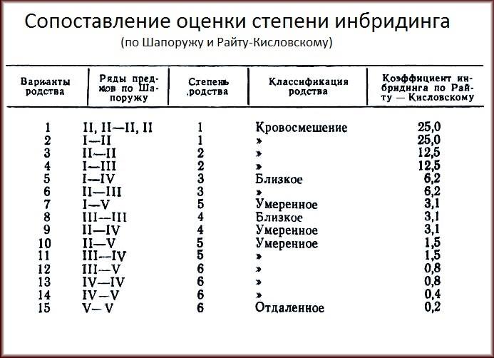 схема инбридинга.jpg