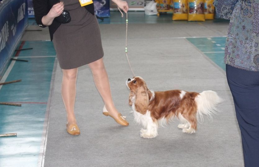 стойка перед эксп.JPG