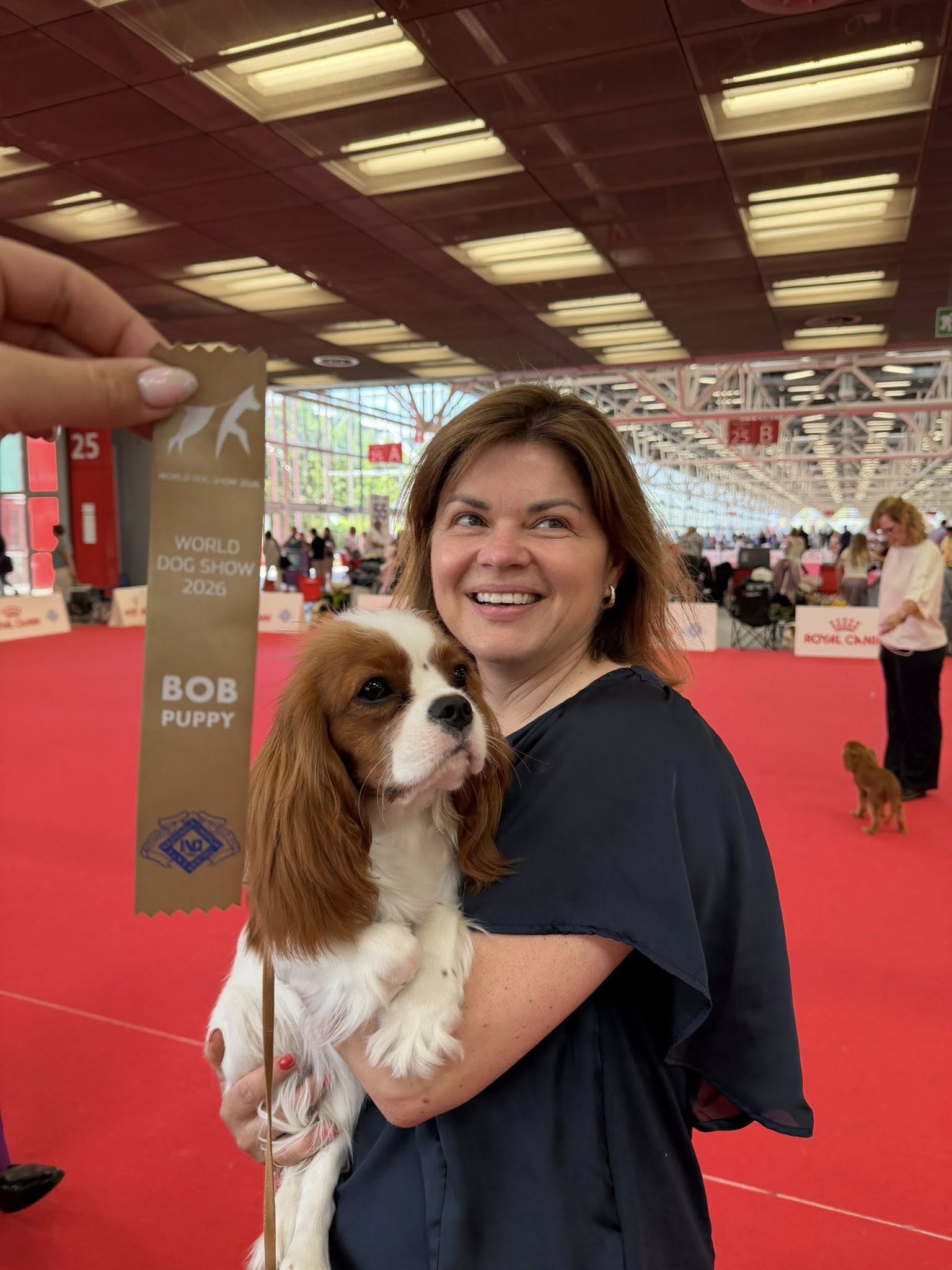 Возможно, это изображение текст WORLD DOG OOSON DOGSHOW SHOW 2026 BOB PUPPY 山ル RChGEL CAND 3의