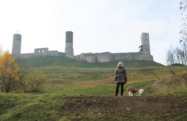 замок рэй.JPG