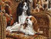 We love Cavalier King.jpg