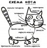 Схема кота.jpg