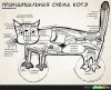 Принципиальная схема котэ.jpg