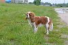 DSC_1752.JPG