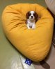 долли и кресло 2.jpg