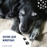 Отзывы Наших Клиентов, копия (67).jpg