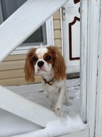 Изображение WhatsApp 2023-01-10 в 09.53.35.jpg