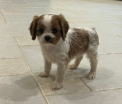 Снимок экрана 2024-01-11 в 16.33.56.png