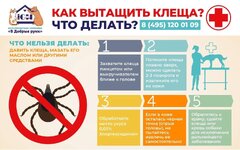 AeRp_EsZAdY (3) (1).jpg