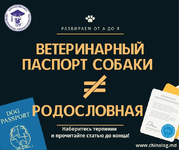 1780430595052.png