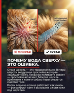 1781815988389.png