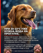 1781816049996.png