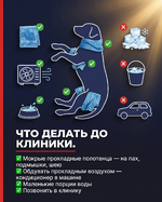 1781816119617.png