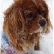 ХУХА-МУХАВЫНКА