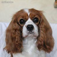 ArtEseniya