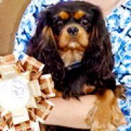 Чёрный Вереск