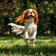 Габриэлла1508