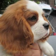 Понарт Холл