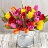 Анастасия П