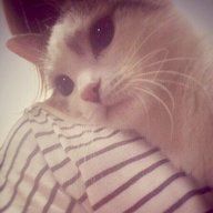 Мария Комарова