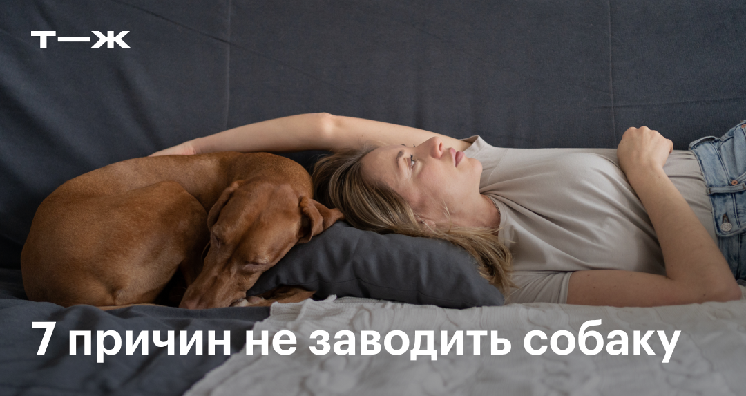journal.tinkoff.ru